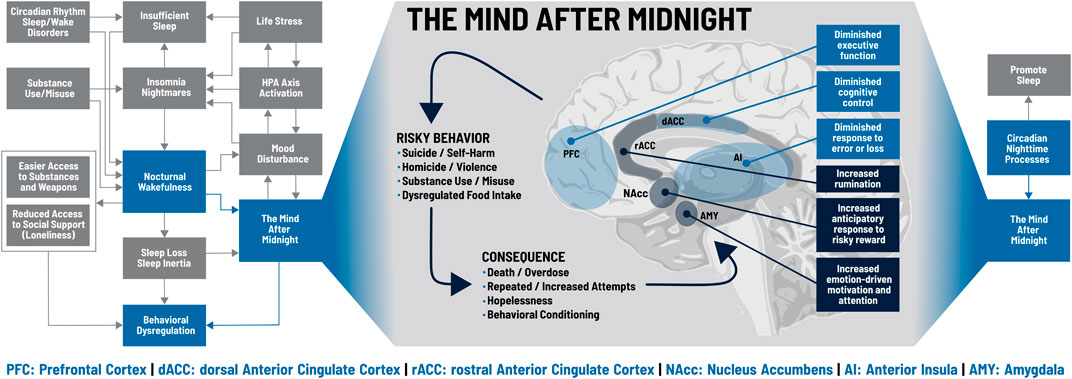 The Mind After Midnight: Nocturnal Wakefulness, Behavioral Dysregulation, and Psychopathology